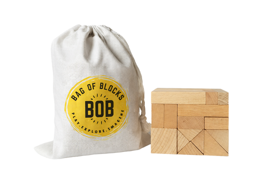 Bag of Blocks (Building Blocks - 24 Pieces, For Ages 3-12)